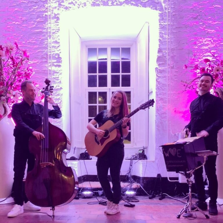 Akoestische coverband Gold Collective